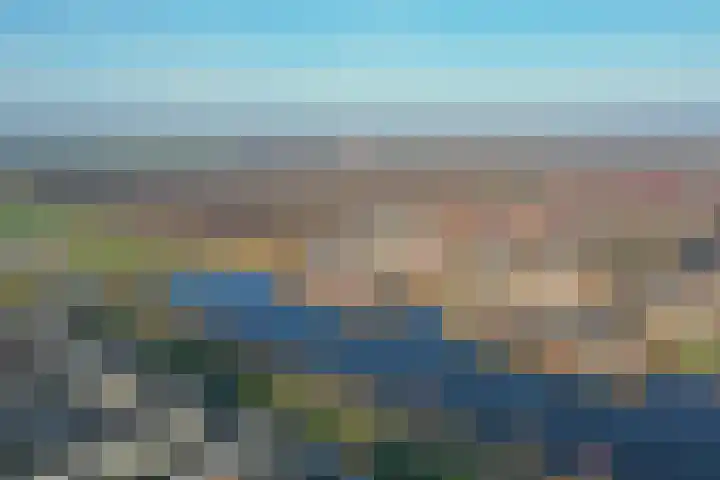 Popart 35 Dronten thumbnail 39