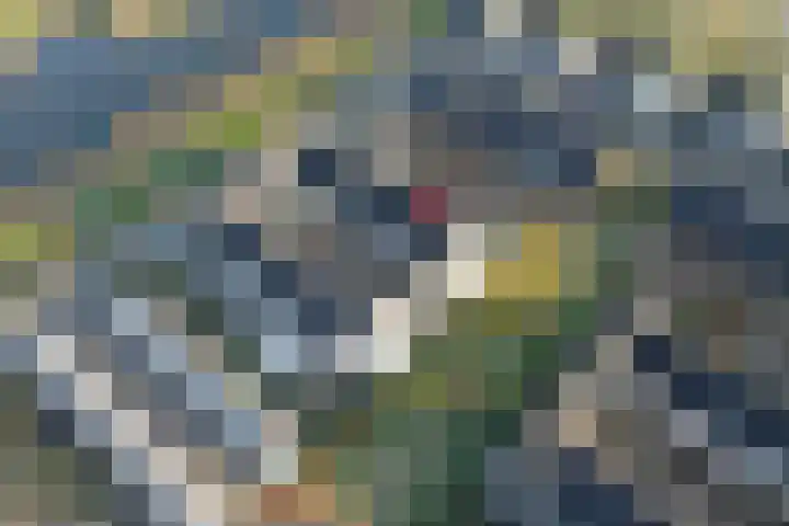Popart 35 Dronten thumbnail 4