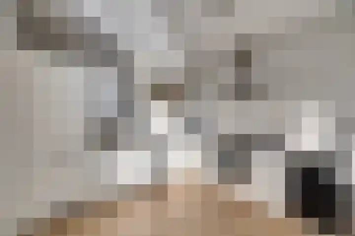 Popart 37 Dronten foto 3