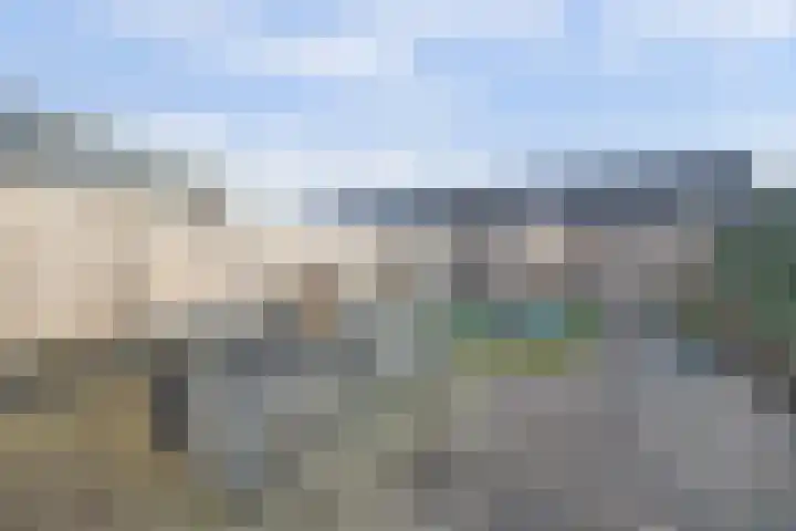 Popart 37 Dronten thumbnail 33