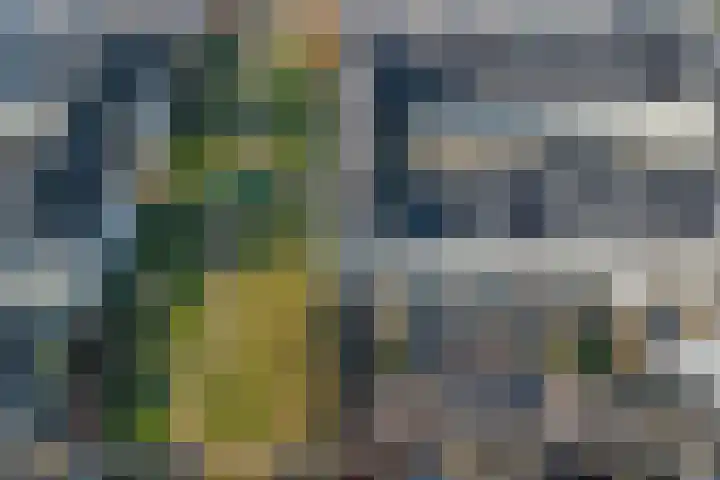 Popart 37 Dronten thumbnail 35