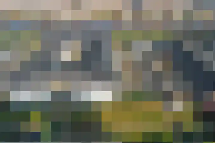 Popart 37 Dronten thumbnail 37