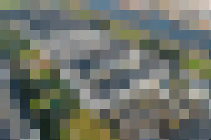 Popart 37 Dronten thumbnail 38
