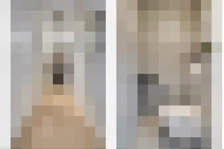 Popart 37 Dronten thumbnail 7