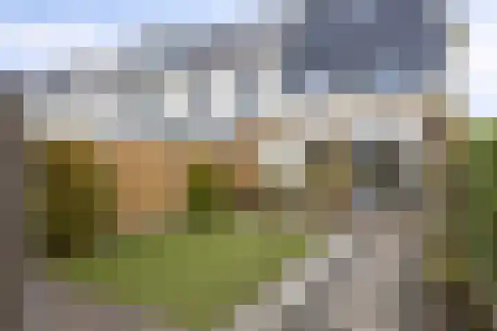 Popart 39 Dronten thumbnail 28