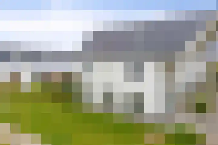 Popart 39 Dronten thumbnail 32