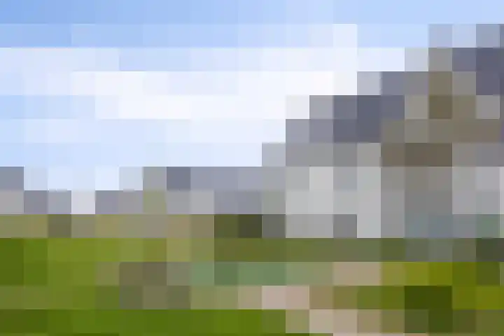 Popart 39 Dronten thumbnail 36
