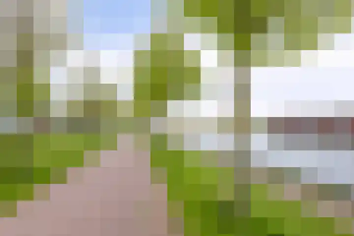 Popart 39 Dronten thumbnail 38