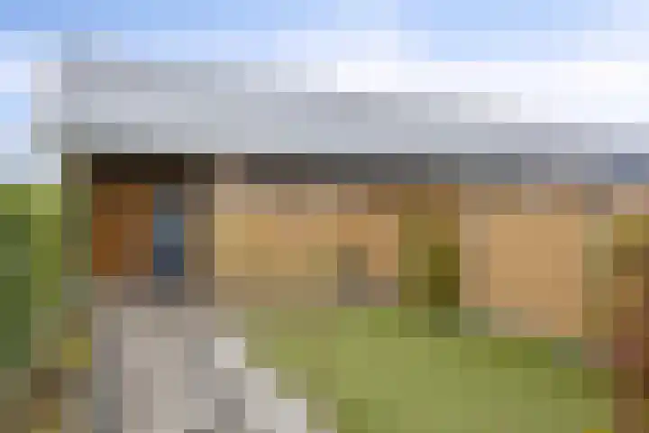 Popart 39 Dronten thumbnail 4