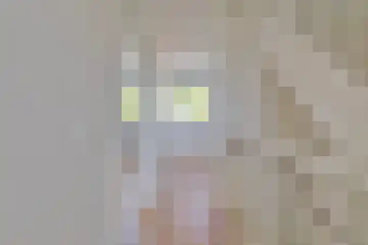 Poproute 29 Middelburg thumbnail 11