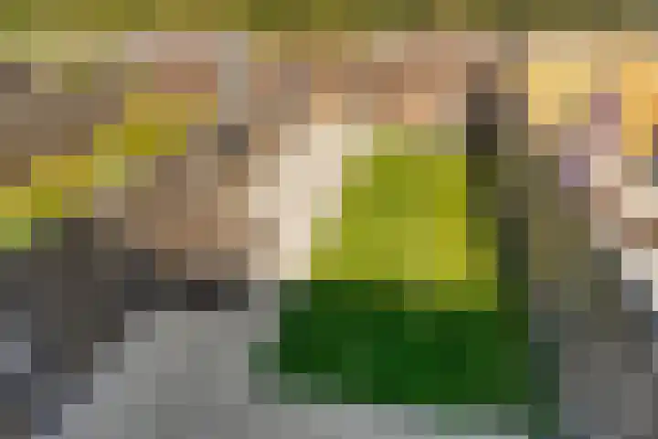 Poproute 29 Middelburg thumbnail 25
