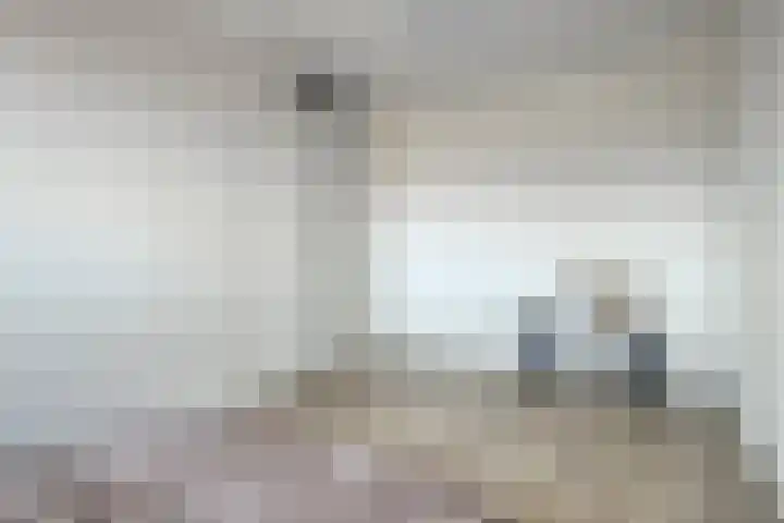 Poproute 59 Middelburg thumbnail 19