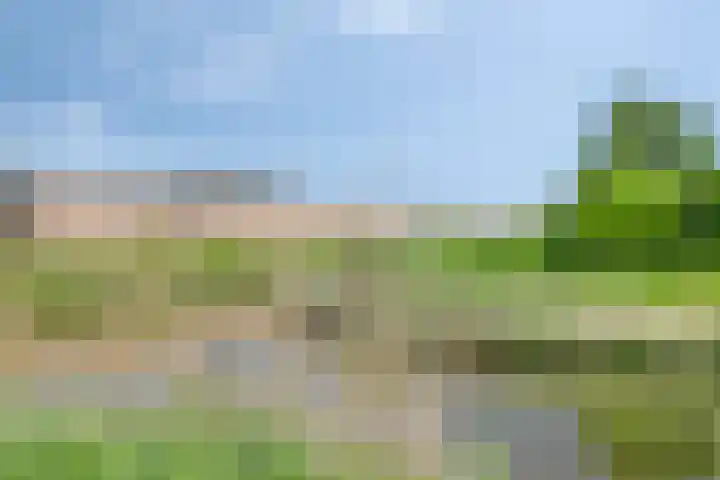 Poproute 59 Middelburg thumbnail 33