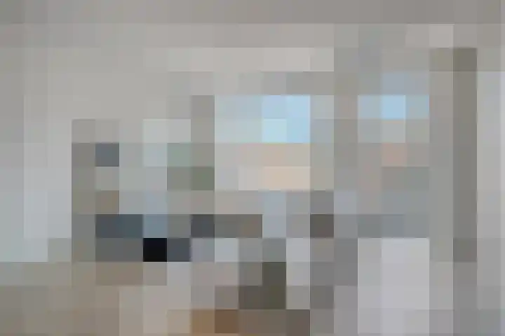 Poproute 59 Middelburg thumbnail 9