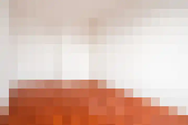 Poptastate 5 Almelo thumbnail 26