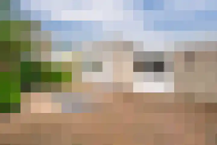Poptastate 5 Almelo thumbnail 31