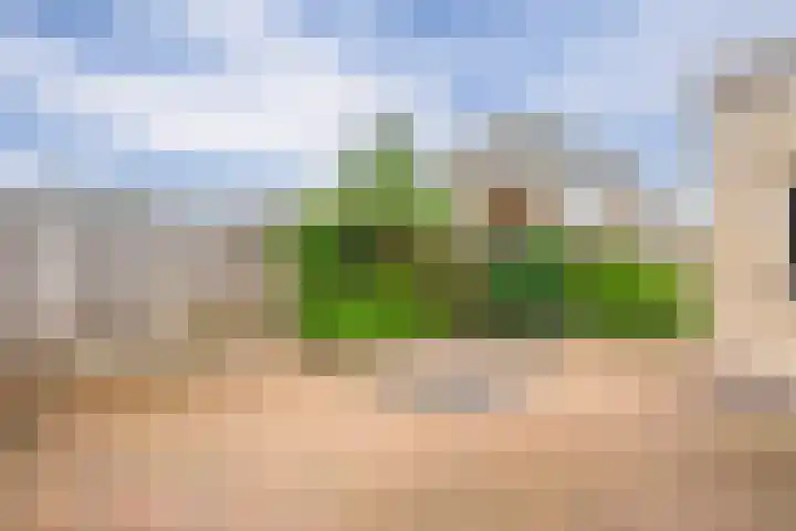 Poptastate 5 Almelo thumbnail 33