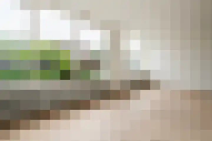 Poptastate 5 Almelo thumbnail 4