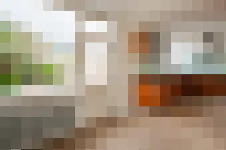 Poptastate 5 Almelo thumbnail 5