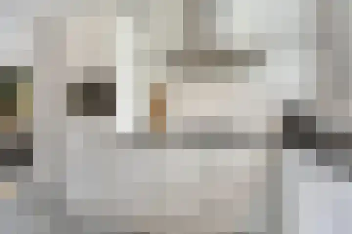 Populier 17 Leek thumbnail 12