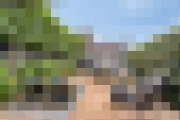 Populier 17 Leek thumbnail 22