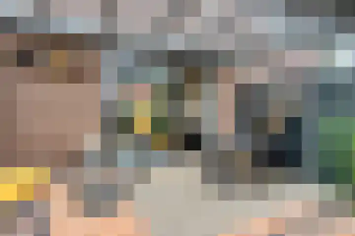 Populier 17 Leek thumbnail 23