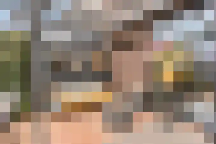 Populier 17 Leek thumbnail 25