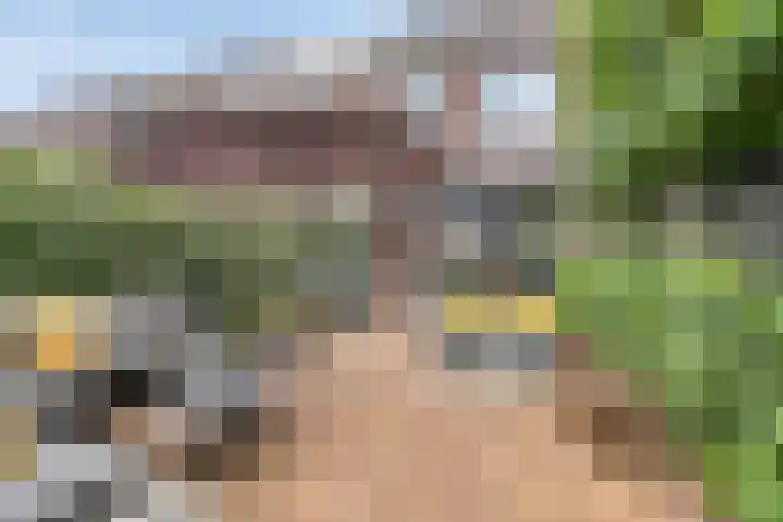 Populier 17 Leek thumbnail 32