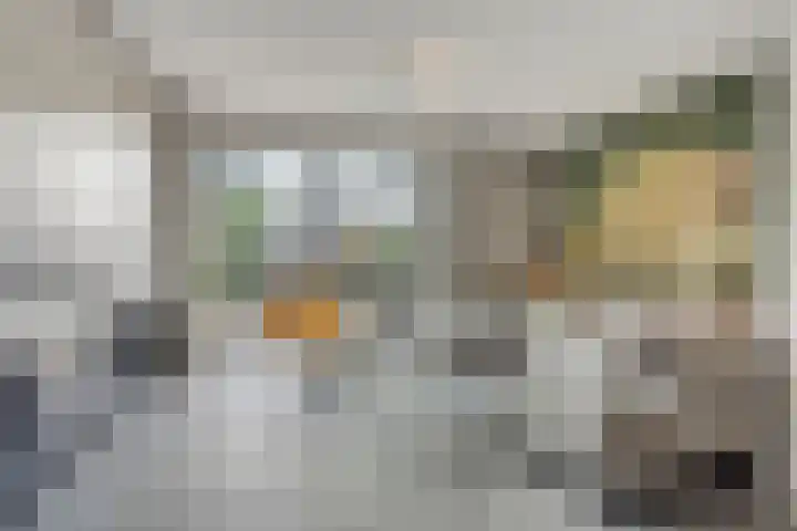 Populier 17 Leek thumbnail 6