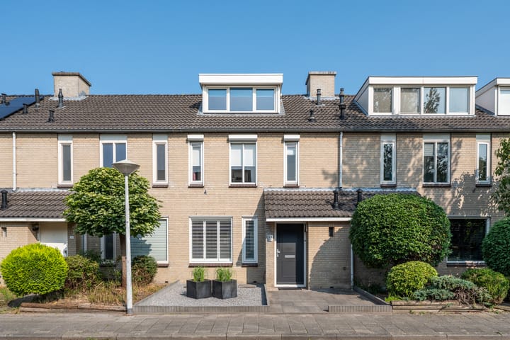 Populier 33 in Best foto