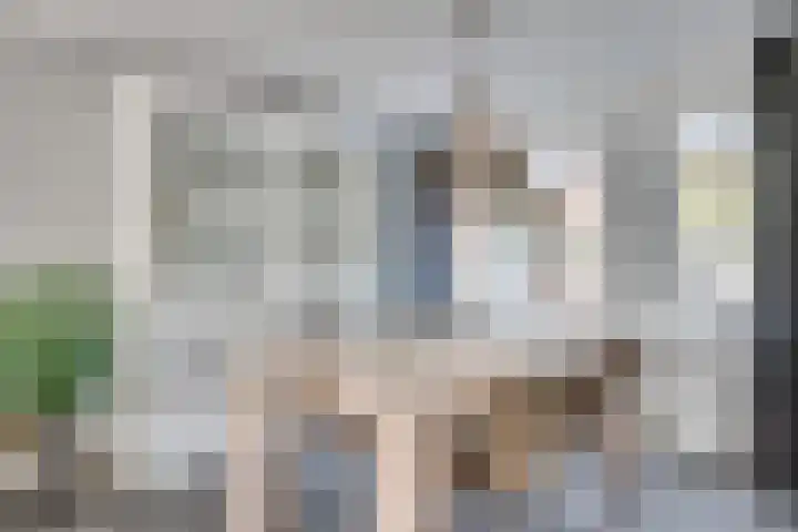 Populier 33 Best thumbnail 11