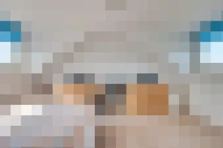 Populier 33 Best thumbnail 28