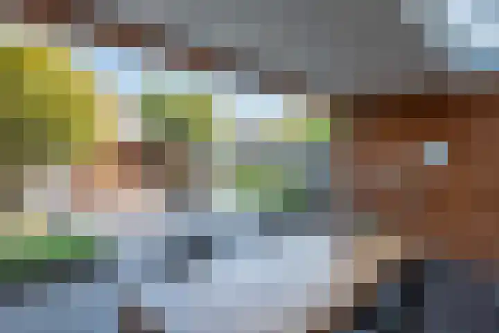 Populier 33 Best thumbnail 34