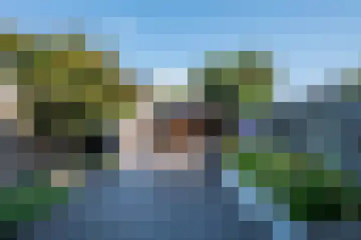 Populier 33 Best thumbnail 36