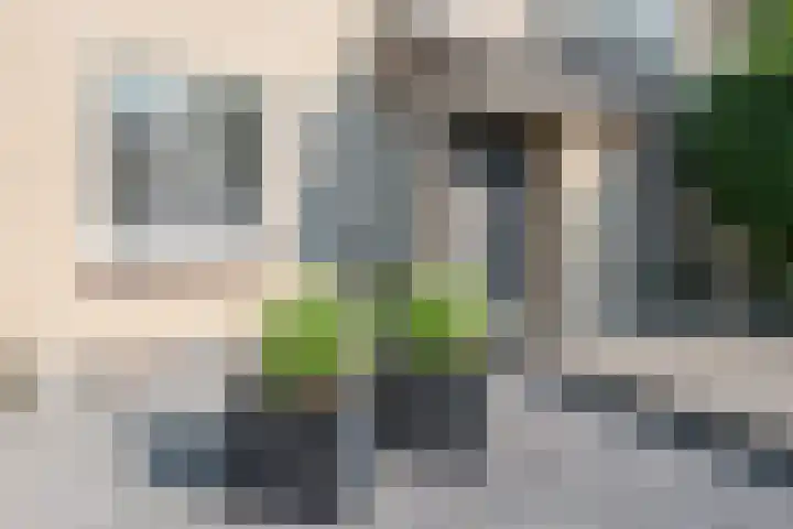 Populier 33 Best thumbnail 4