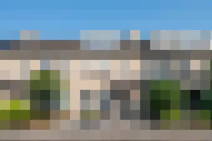 Populier 33 Best thumbnail 43