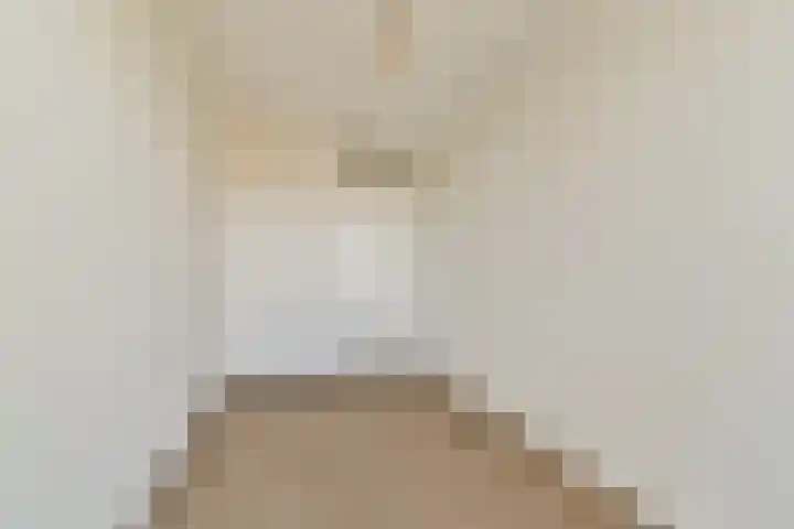 Populier 36 Naaldwijk thumbnail 18
