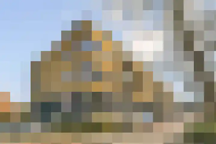 Populier 36 Naaldwijk thumbnail 27
