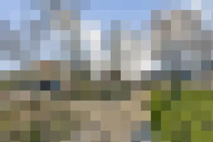 Populier 36 Naaldwijk thumbnail 29