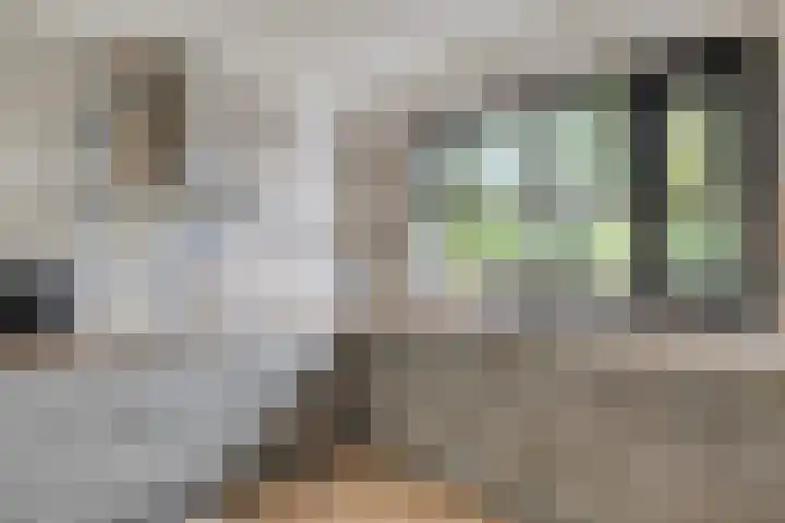 Populier 98 Best thumbnail 11