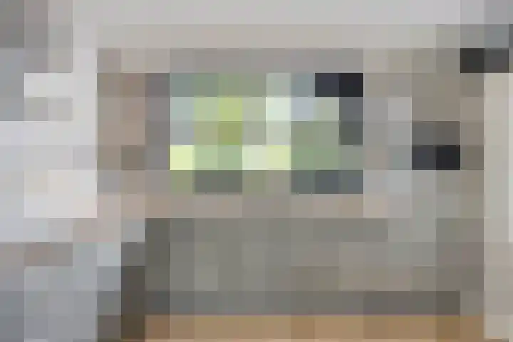 Populier 98 Best thumbnail 12