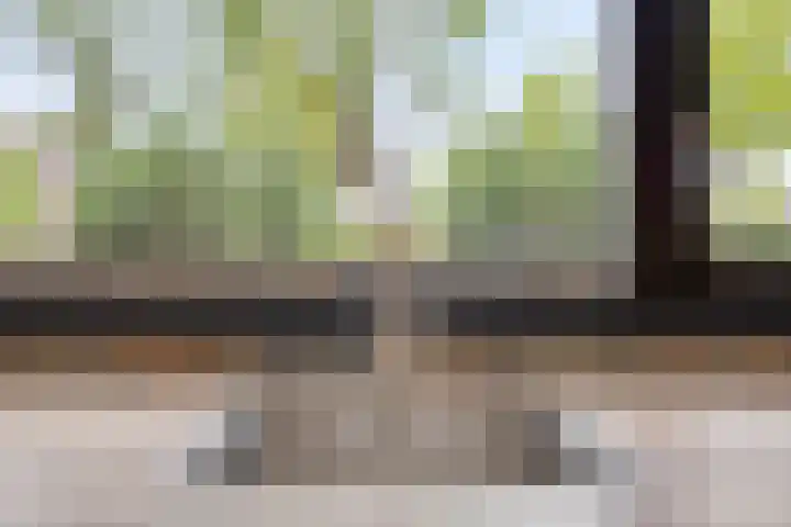 Populier 98 Best thumbnail 14