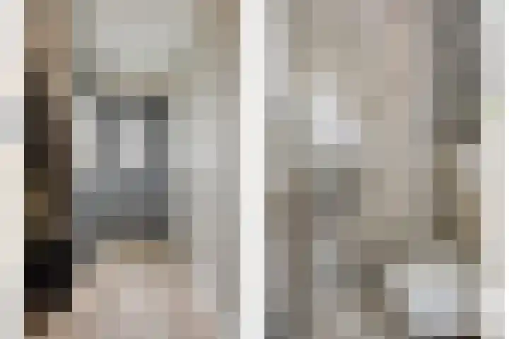 Populier 98 Best thumbnail 15