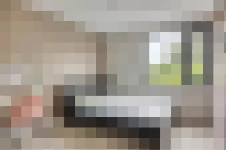 Populier 98 Best thumbnail 16
