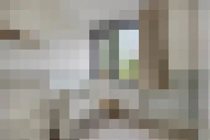 Populier 98 Best thumbnail 18
