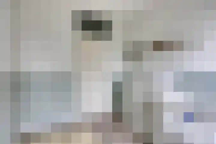 Populier 98 Best thumbnail 19