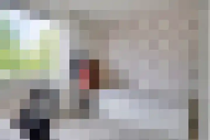 Populier 98 Best thumbnail 20