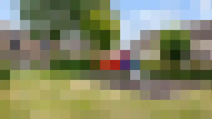 Populier 98 Best thumbnail 29