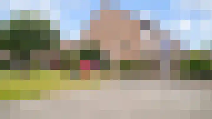 Populier 98 Best thumbnail 30