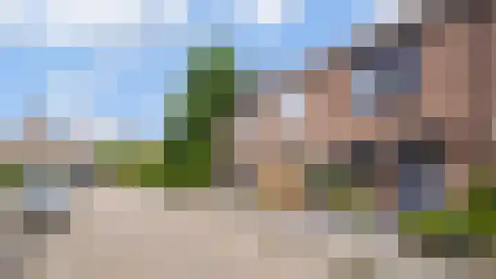 Populier 98 Best thumbnail 31